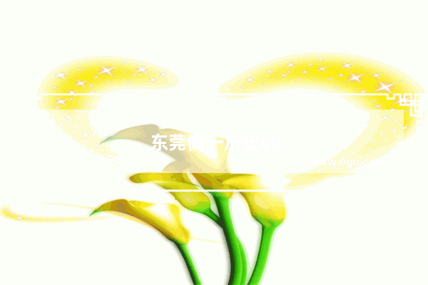 东莞高一历史用什么版本