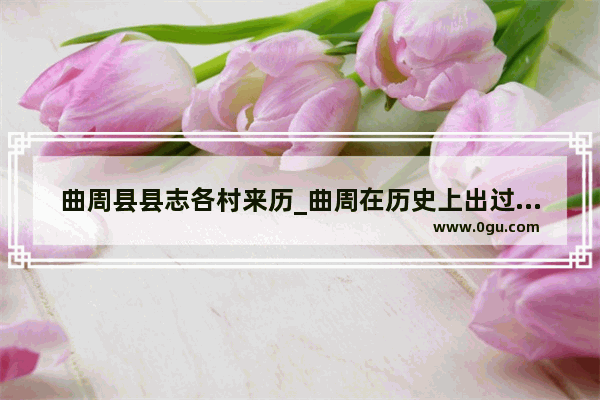 曲周县县志各村来历_曲周在历史上出过什么重要的人物吗