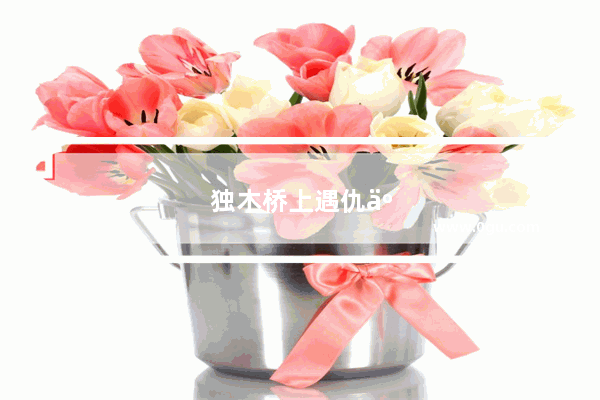 独木桥上遇仇人一个歇后语