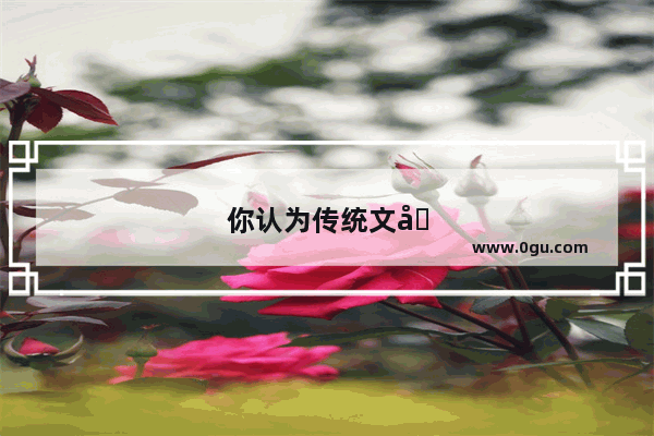 你认为传统文化的核心价值观是什么