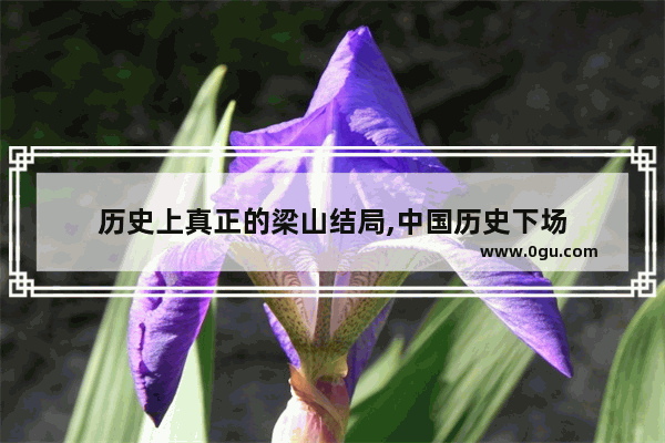 历史上真正的梁山结局,中国历史下场