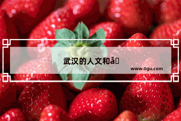 武汉的人文和历史