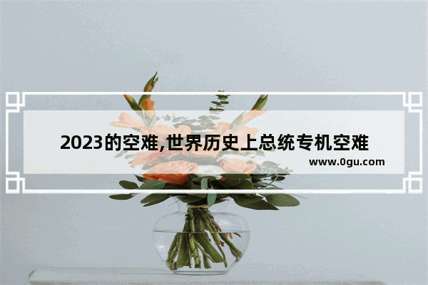 2023的空难,世界历史上总统专机空难