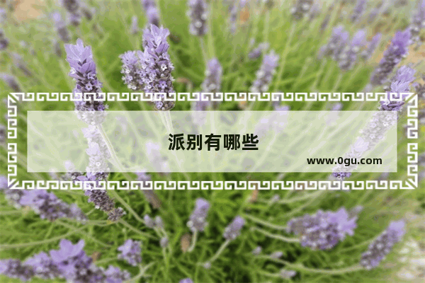 派别有哪些