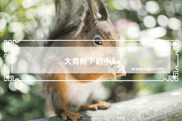 大青树下的小学浮现了什么画面