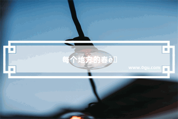 每个地方的春节都有不同的风俗和特点