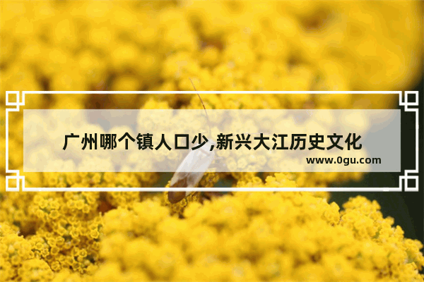 广州哪个镇人口少,新兴大江历史文化