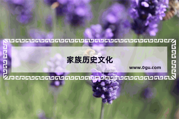家族历史文化
