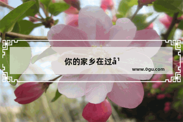 你的家乡在过年期间有吃春卷的习俗吗