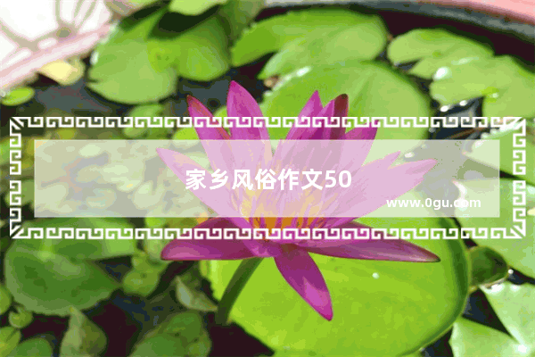 家乡风俗作文500字春节东北