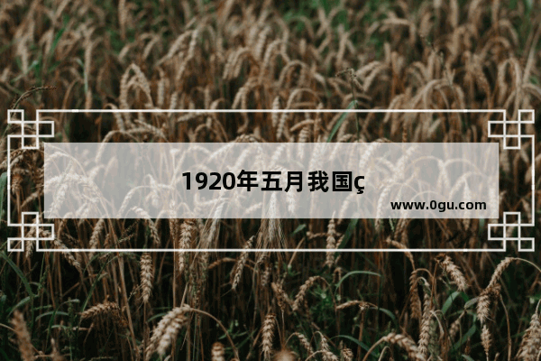 1920年五月我国第一个国家级期货市场什么正式开业