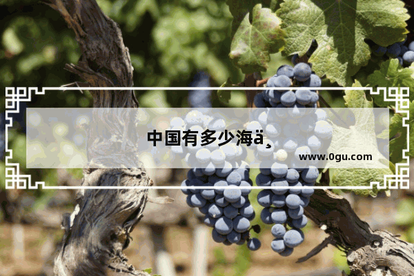 中国有多少海上油井