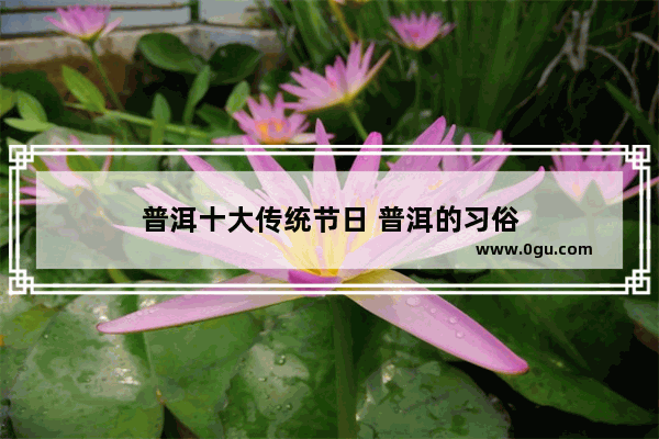 普洱十大传统节日 普洱的习俗