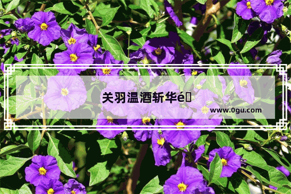 关羽温酒斩华雄 印象深刻的人及其形象特征有哪些