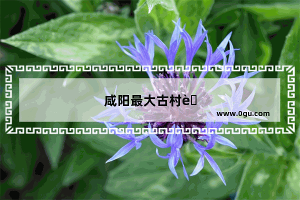咸阳最大古村落