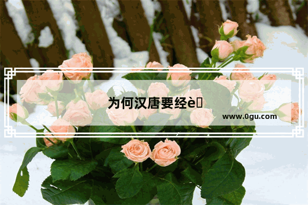 为何汉唐要经营西域 宋代以后却放弃了