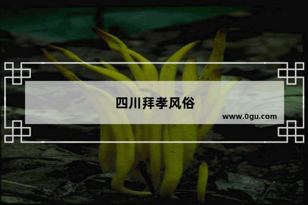 四川拜孝风俗
