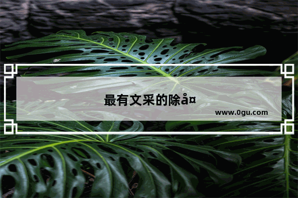 最有文采的除夕诗句