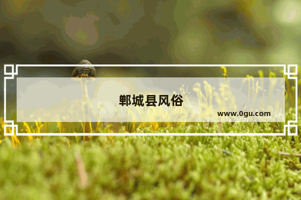 郸城县风俗