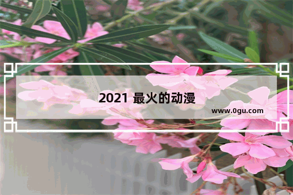 2021 最火的动漫人物