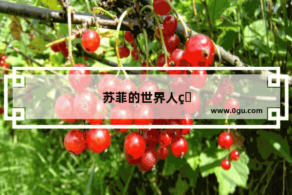苏菲的世界人物形象及性格特点