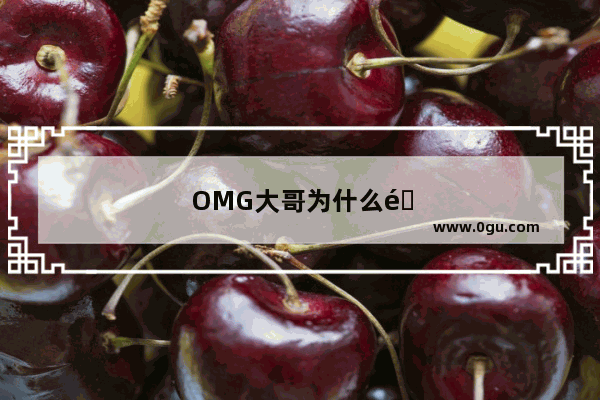 OMG大哥为什么退役