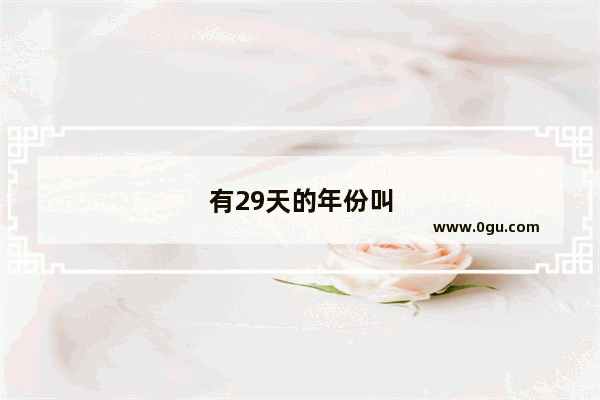 有29天的年份叫什么年