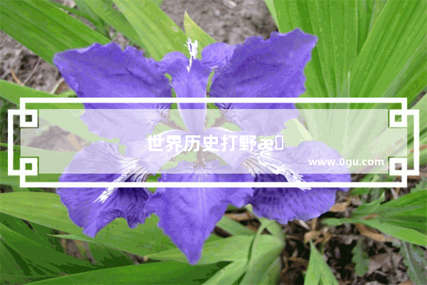 世界历史打野排名前十名