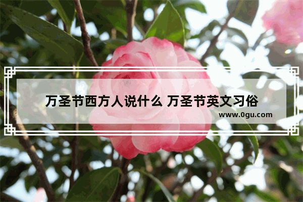 万圣节西方人说什么 万圣节英文习俗