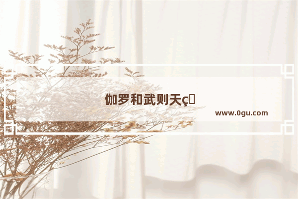 伽罗和武则天的关系