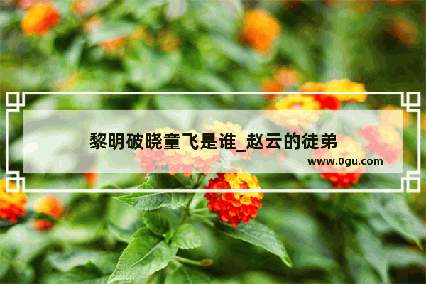 黎明破晓童飞是谁_赵云的徒弟