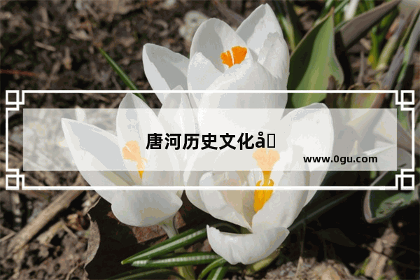 唐河历史文化古迹