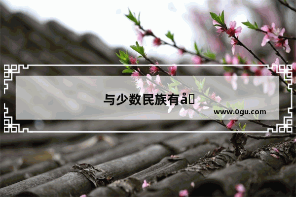 与少数民族有关的资料