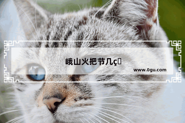 峨山火把节几点点火