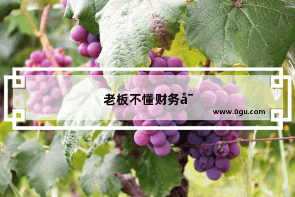 老板不懂财务对公司在多大的危害