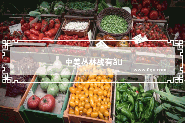 中美丛林战有哪些好看的电影