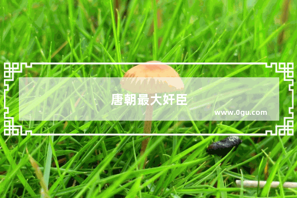 唐朝最大奸臣