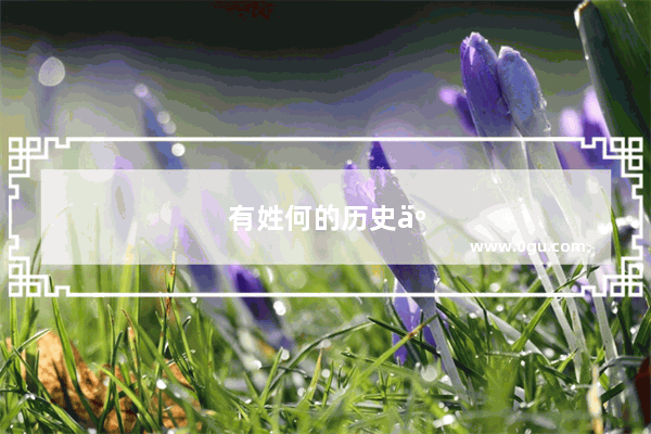 有姓何的历史人物吗