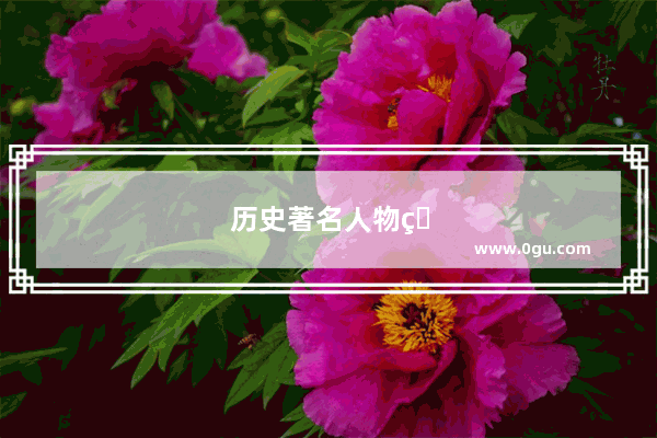 历史著名人物的故事三十字左右