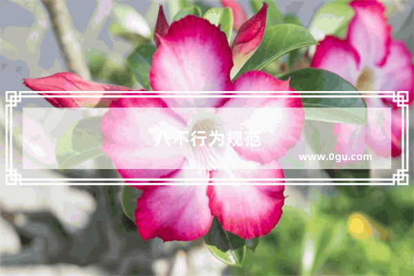 八不行为规范