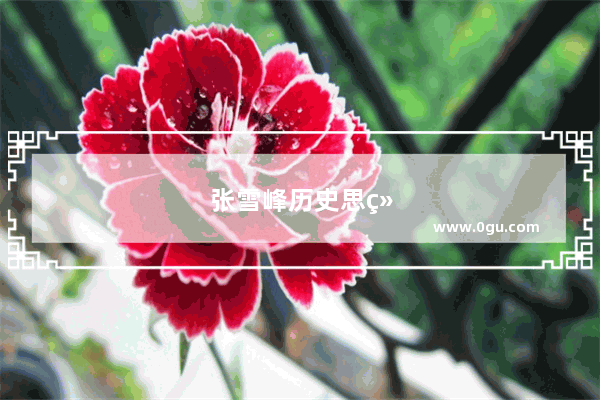 张雪峰历史思维导图有用吗