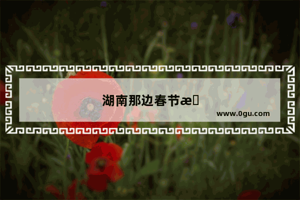 湖南那边春节怎么过