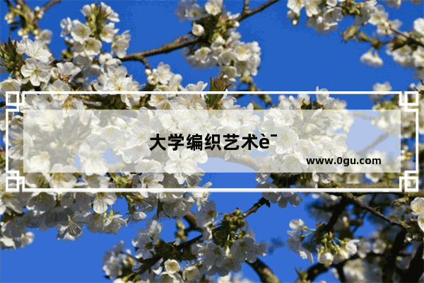 大学编织艺术课讲什么