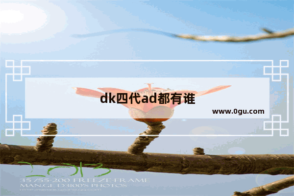 dk四代ad都有谁