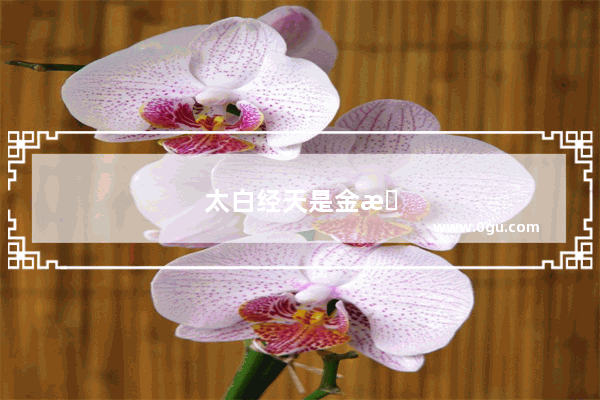 太白经天是金星凌日吗
