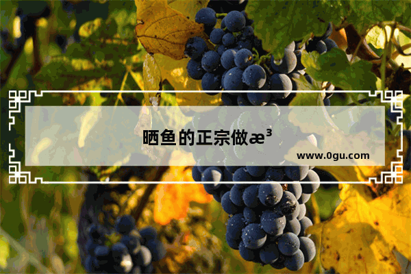 晒鱼的正宗做法