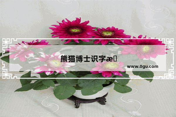熊猫博士识字怎么样