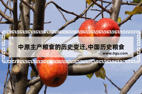中原主产粮食的历史变迁,中国历史粮食