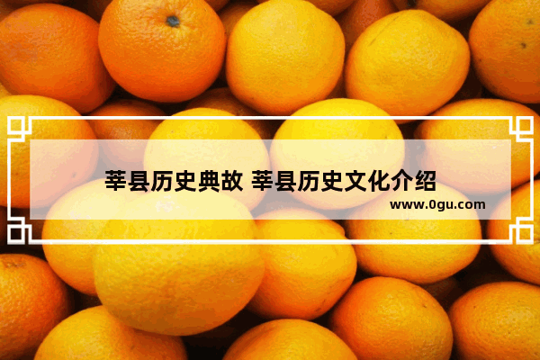 莘县历史典故 莘县历史文化介绍