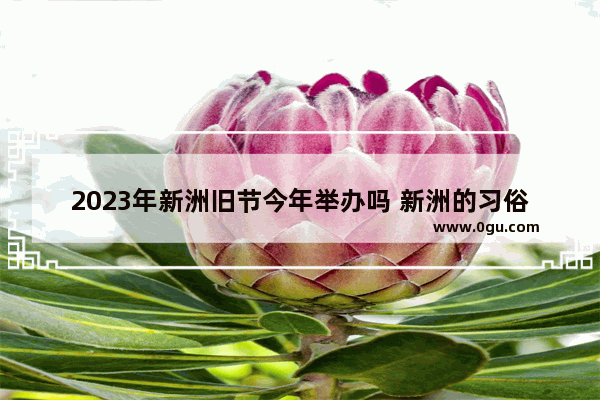 2023年新洲旧节今年举办吗 新洲的习俗